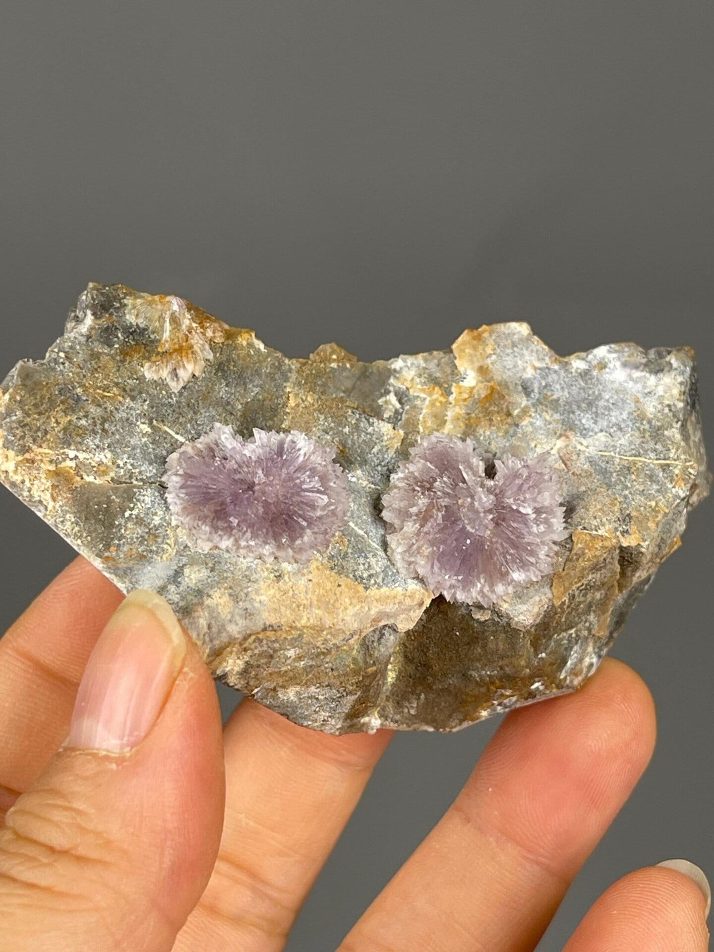 Flos ferri aragonite iron flower habit from Austria
