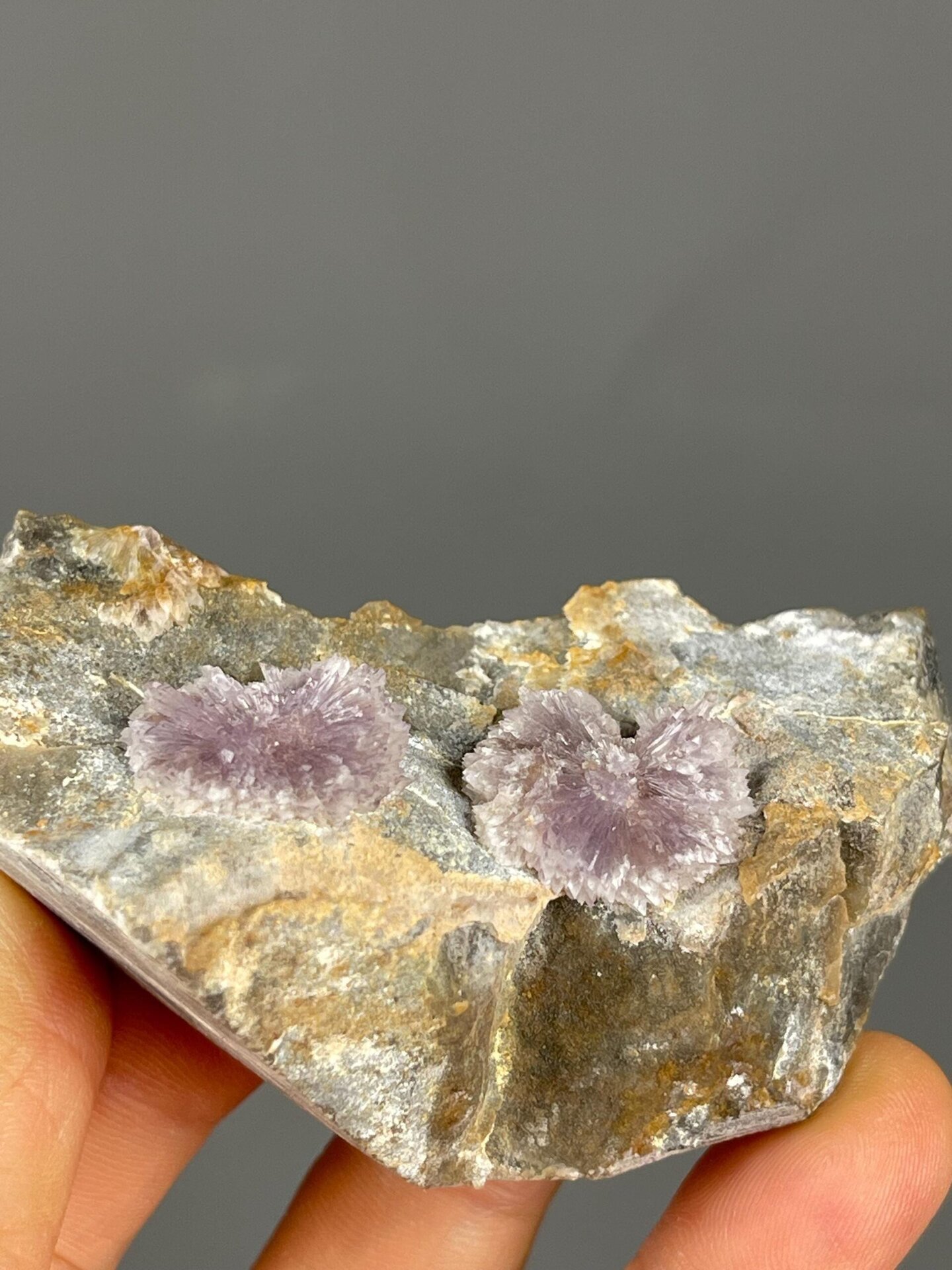 Delicate branching coralloidal aragonite structure, Austria