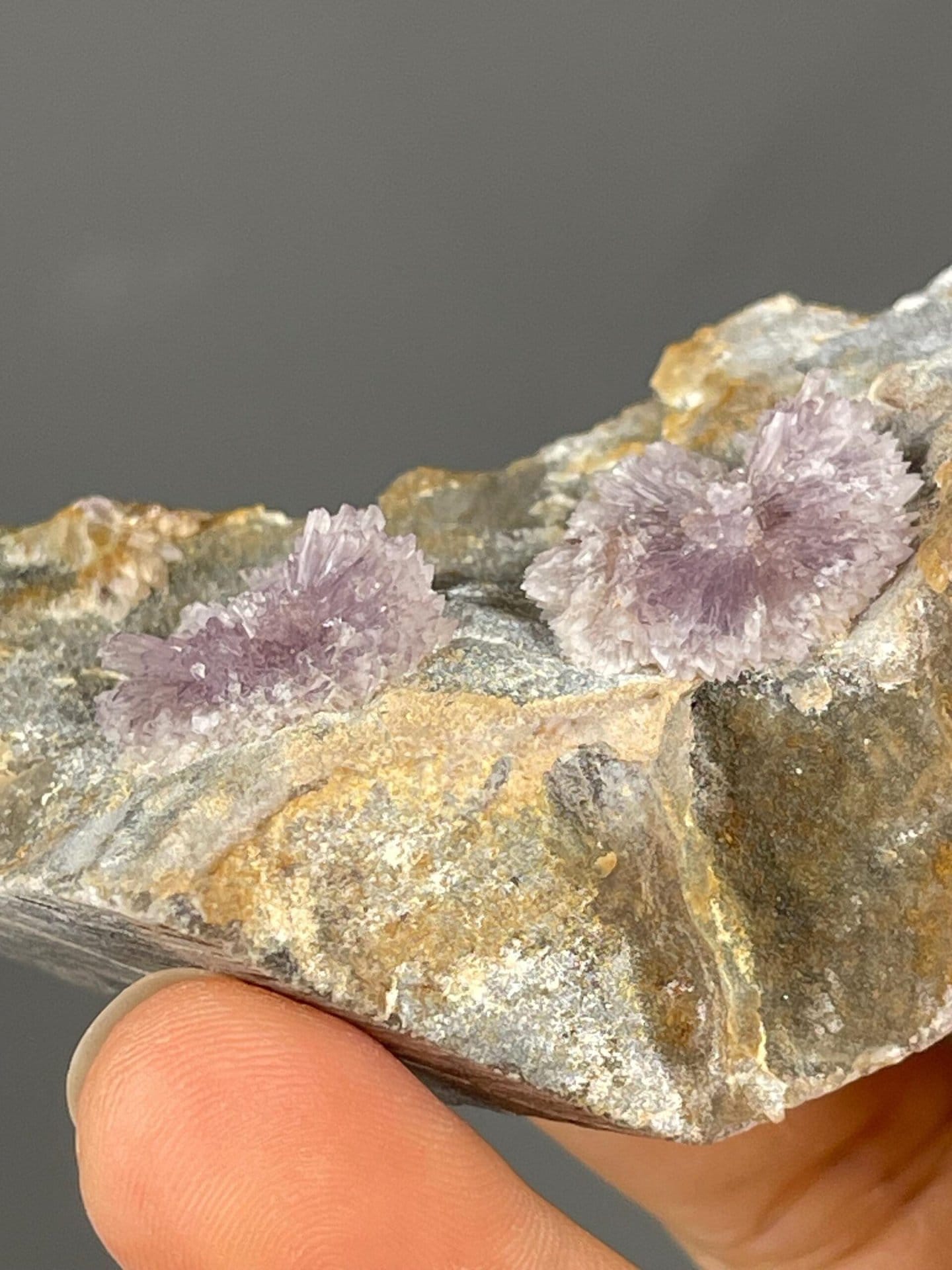 Scale view of 3.1x1.23x1.63 in flos ferri aragonite
