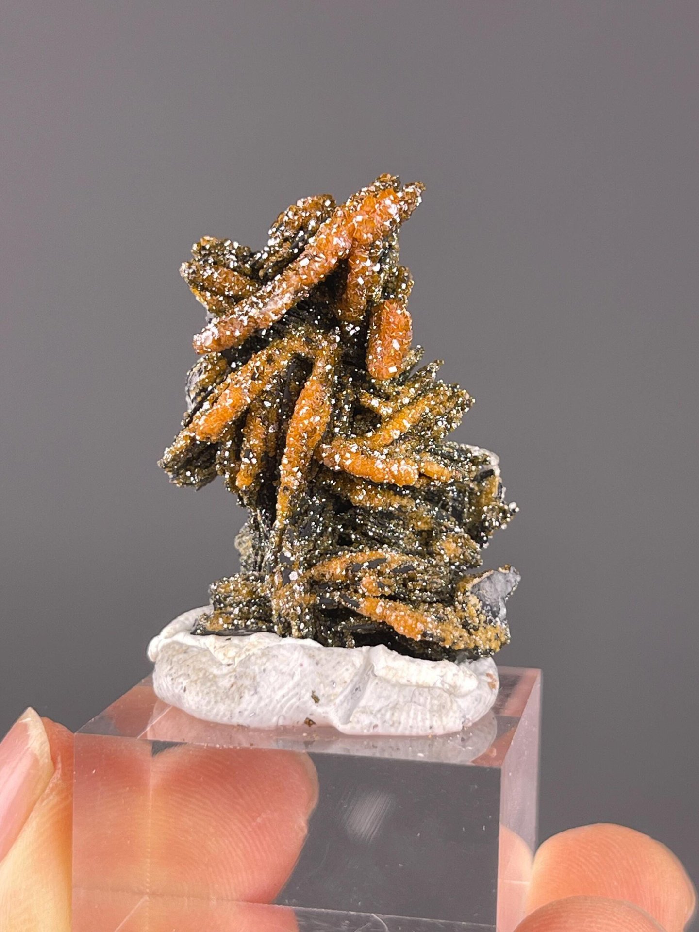 Vanadinite vibrant red crystals on black matrix, Morocco