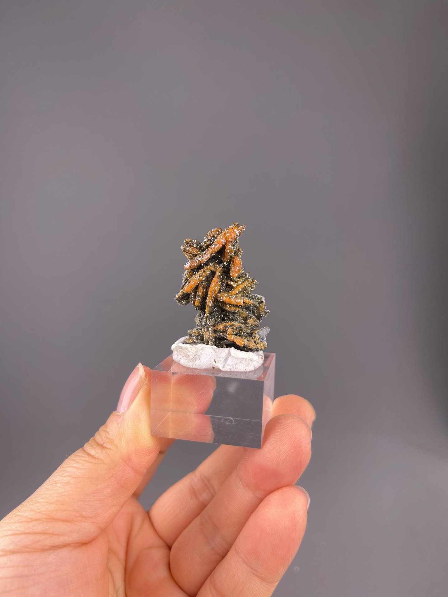 Small red hexagonal vanadinite prisms on dark matrix