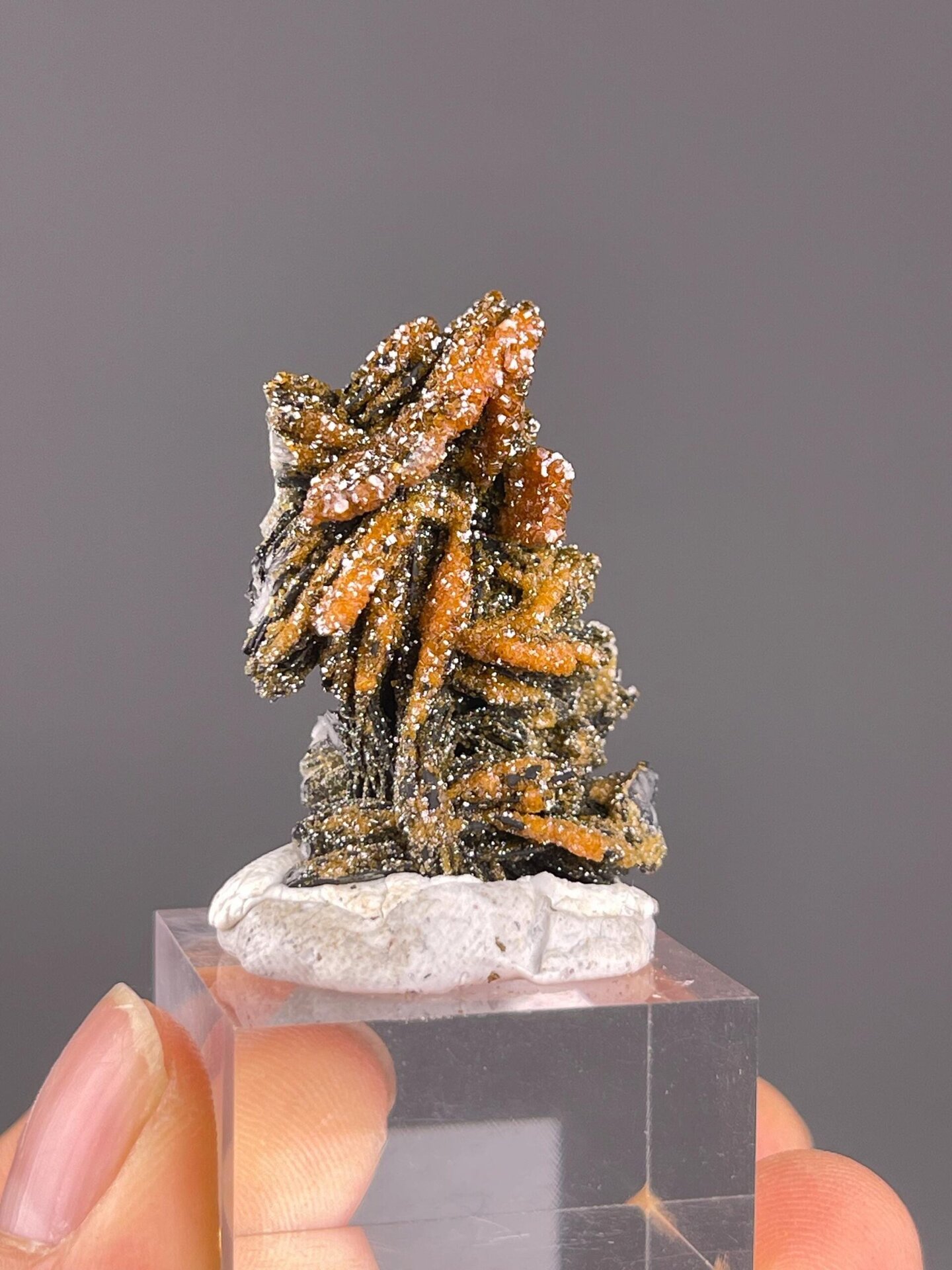 Side view of vanadinite on black matrix from Morocco