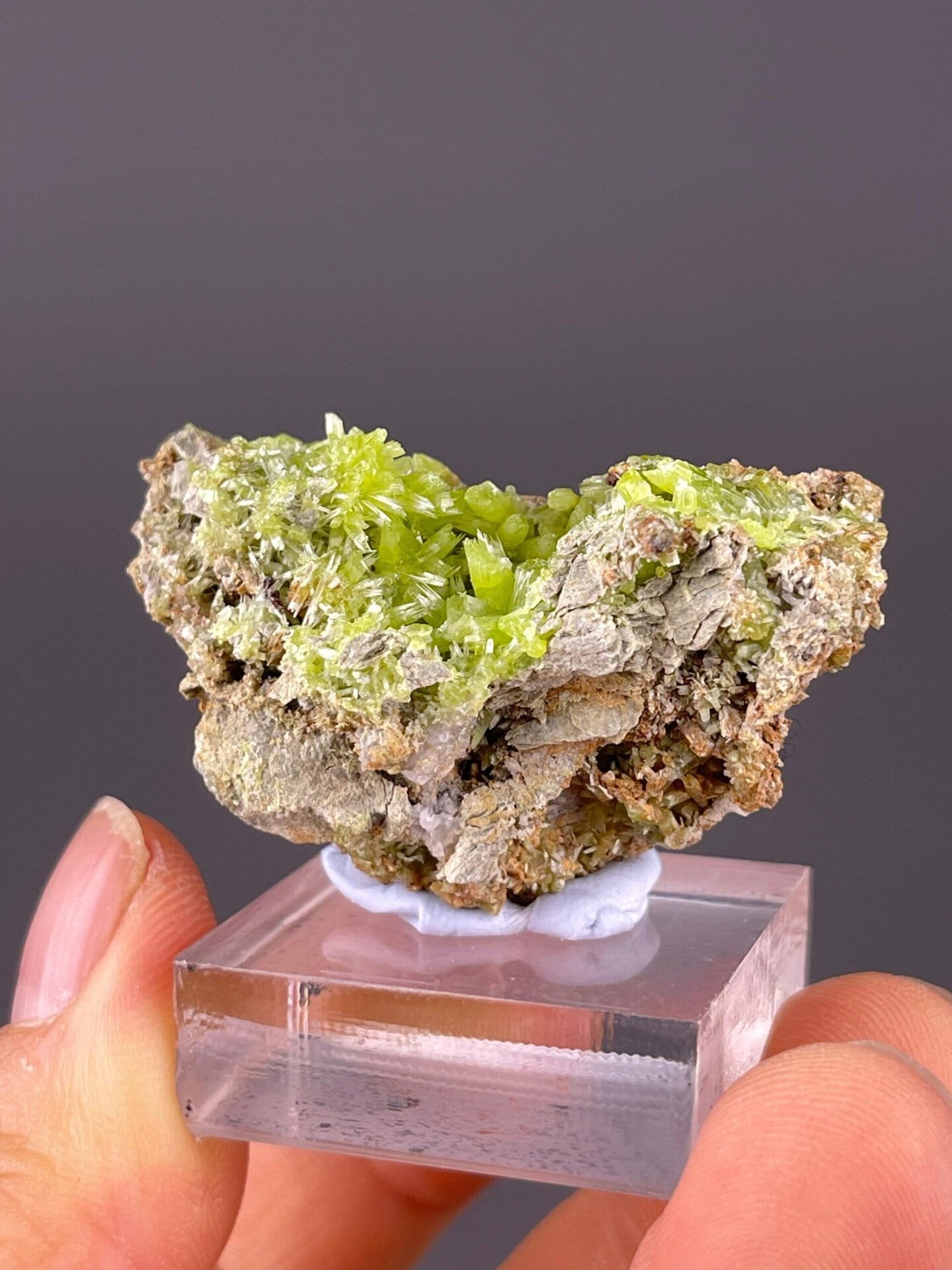 Pyromorphite Pb5PO4Cl hexagonal crystals on matrix