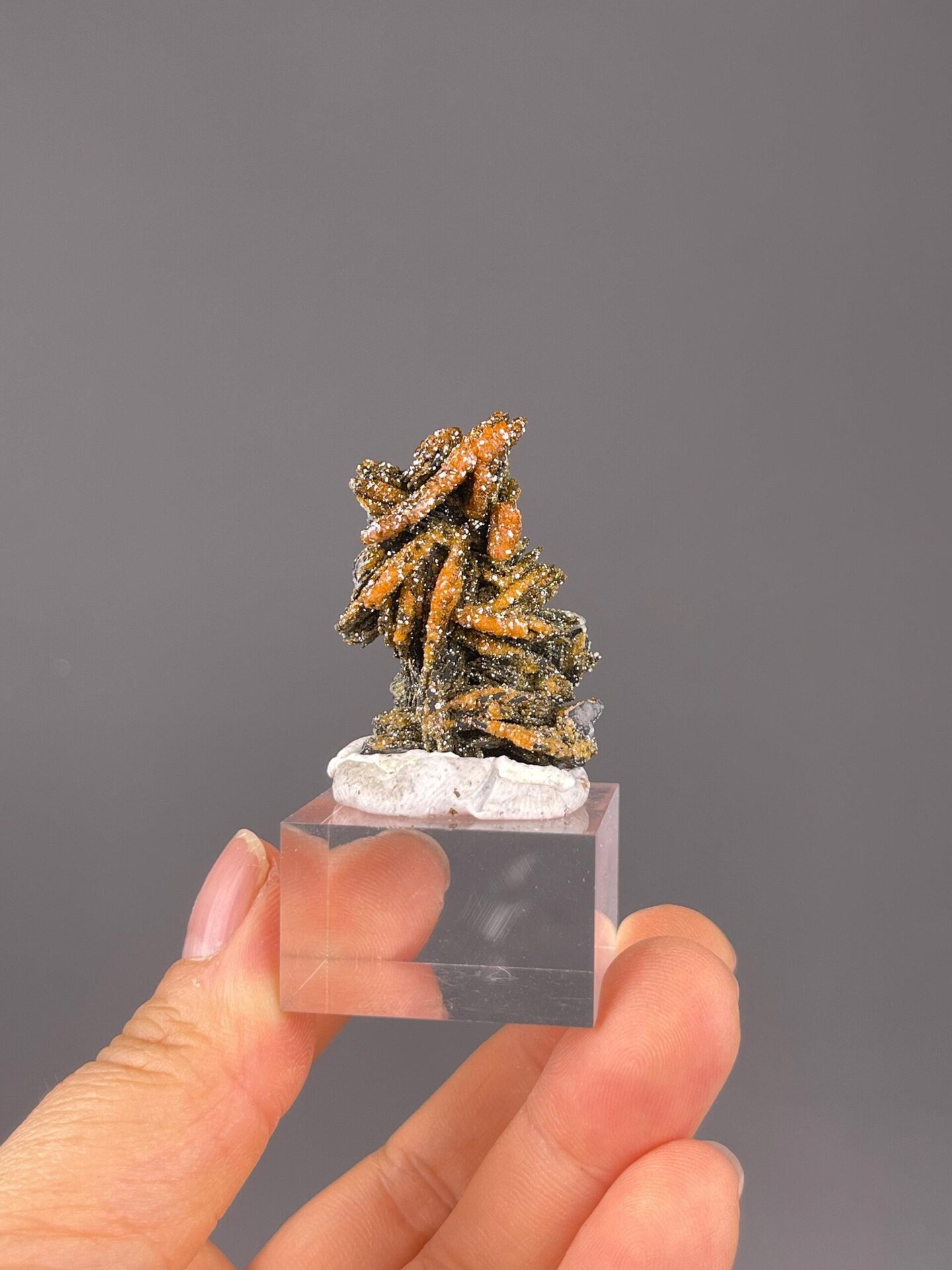 Vanadinite Pb5VO4Cl hexagonal on black matrix, Morocco