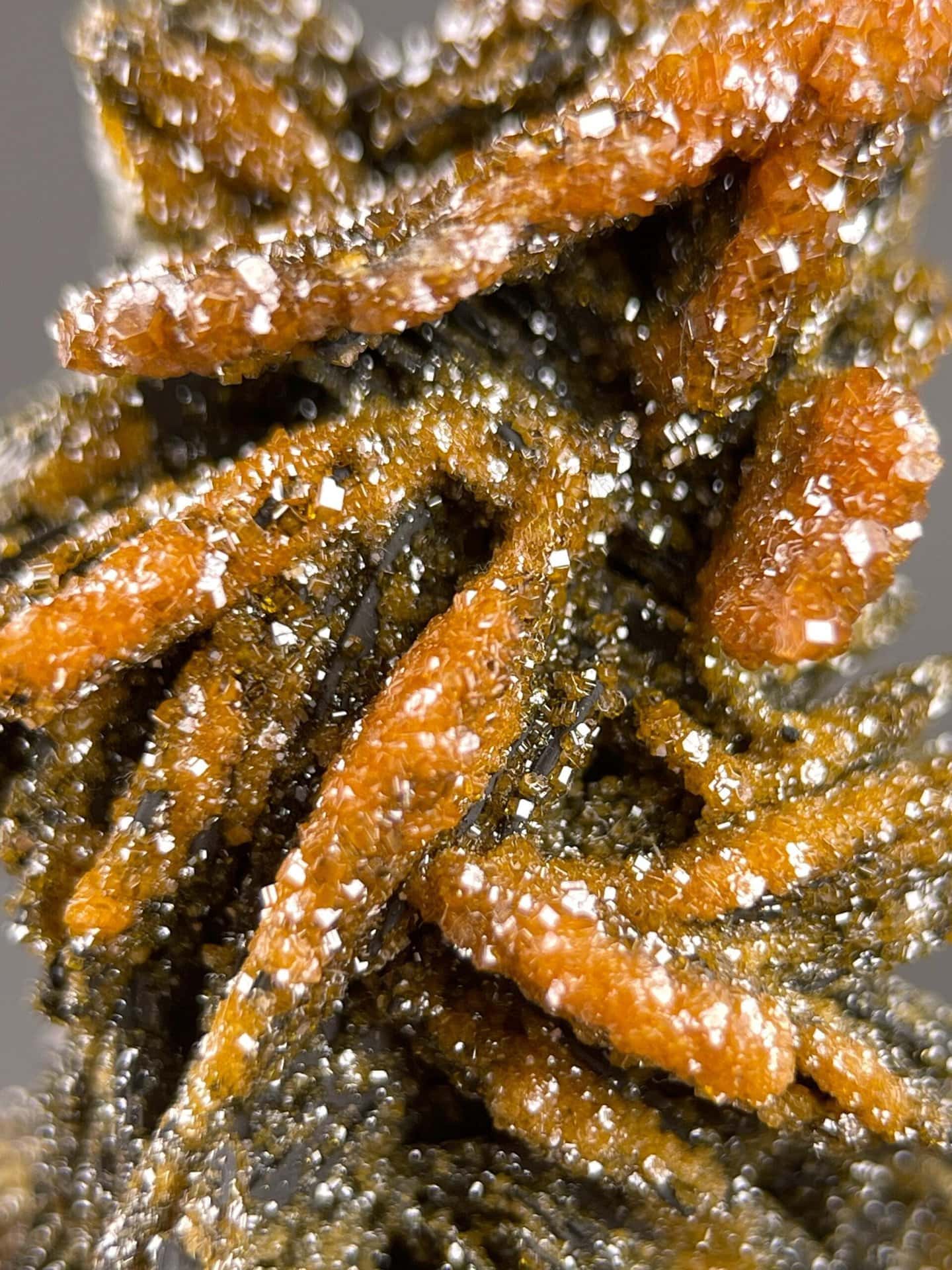 Top view of red vanadinite on black matrix from Morocco