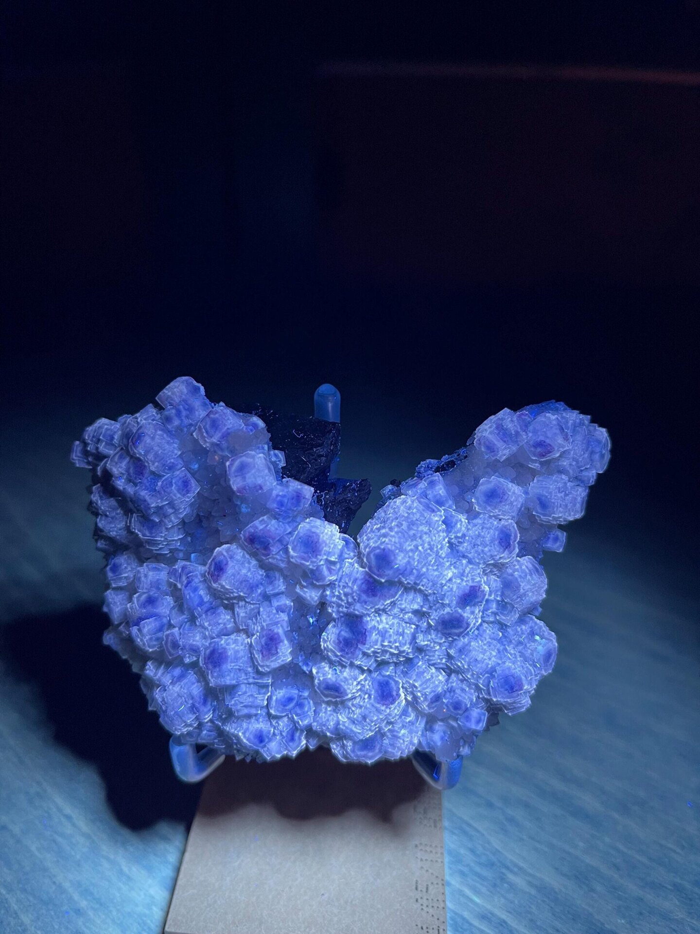 Purple-green phantom fluorite displaying vitreous luster