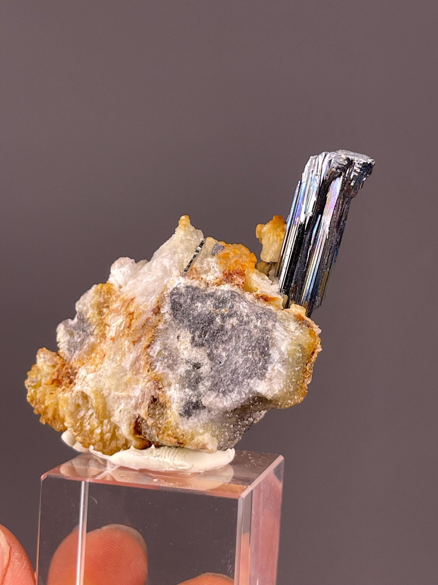 Brilliant metallic stibnite crystal emerging from matrix