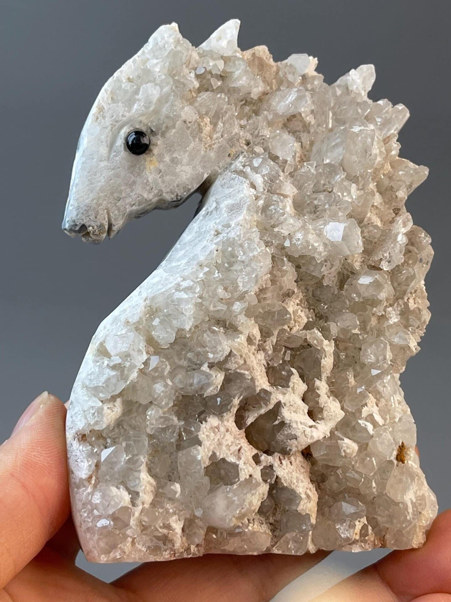 Black onyx eyes on hand-carved white quartz seahorse