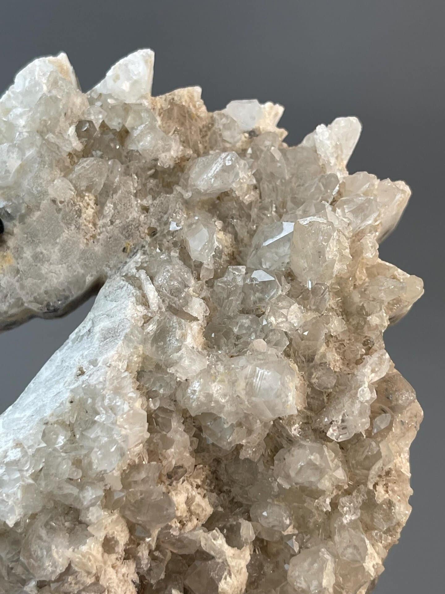 Scale view of 4.0x1.0x2.5 in quartz seahorse sculpture
