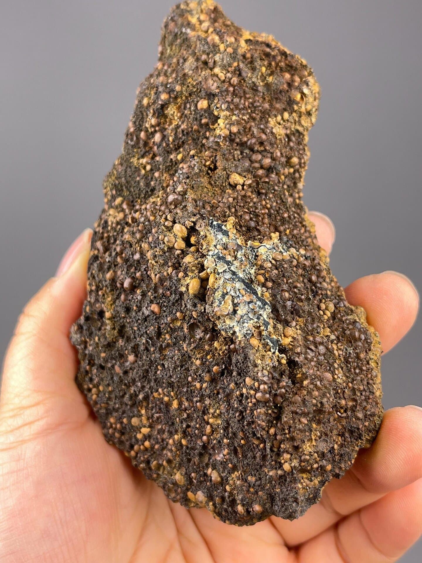 Multiple well-faceted green andradite crystals on dark host
