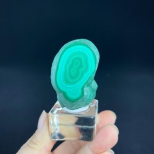 Congo Malachite Stone - Polished with Natural Patterns - Authentic Congo Gem - Ideal for Collectors