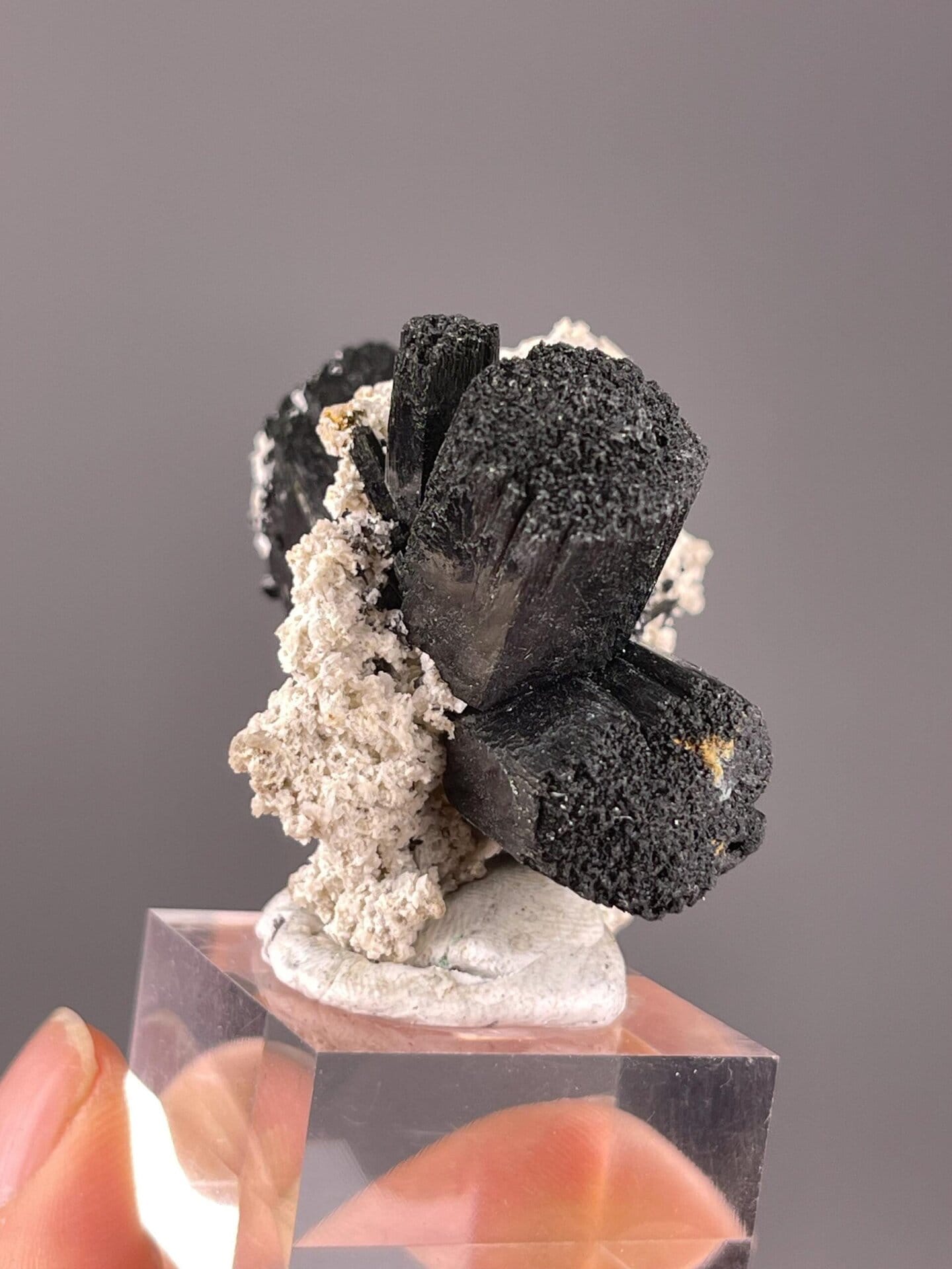Schorl tourmaline NaFe3 trigonal blades on matrix, Namibia
