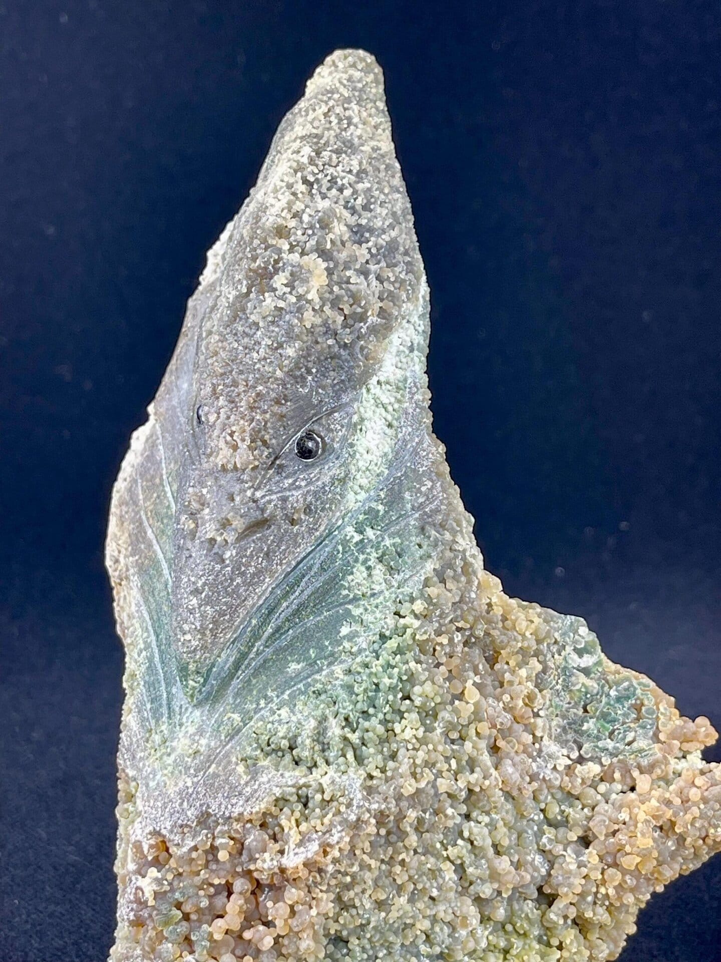 Indonesian grape agate chalcedony carved into pterosaur