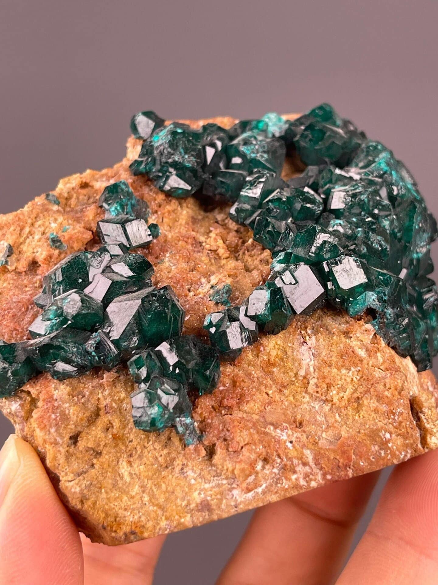 Scale view of 3.1x1.7x2.7 in dioptase cluster