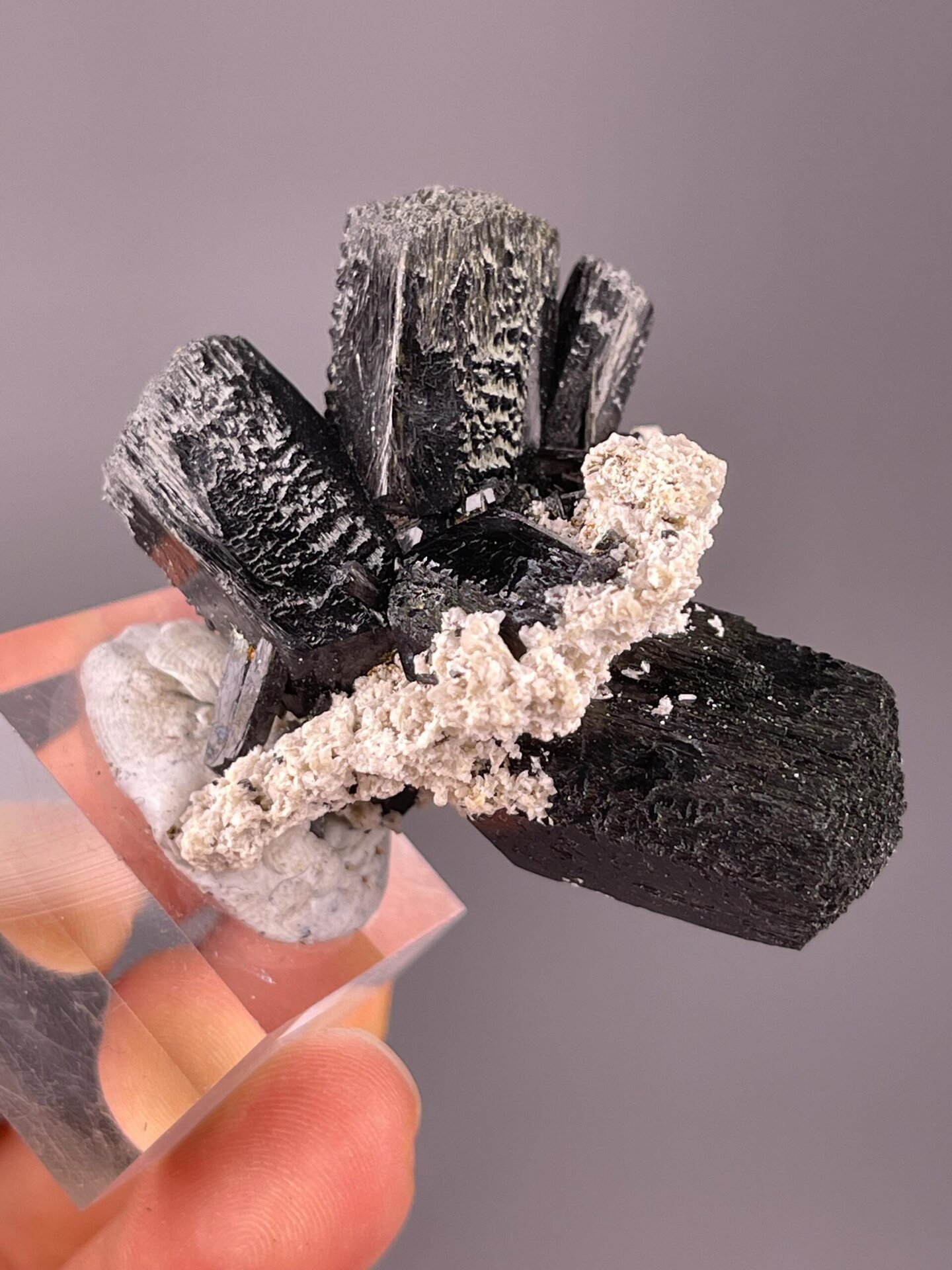 Top view of black tourmaline crystals on matrix, Namibia