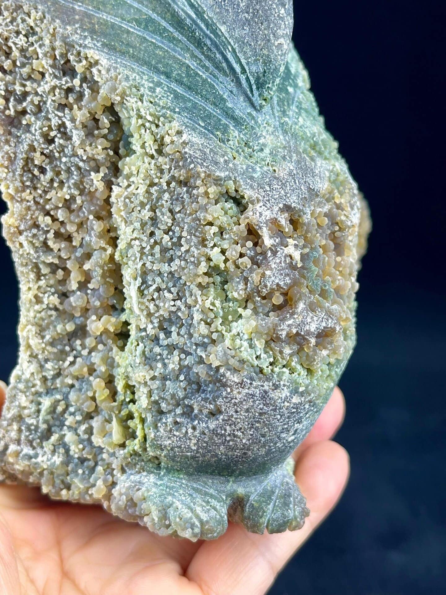 Scale view of 8.0x3.0x4.9 in grape agate pterosaur