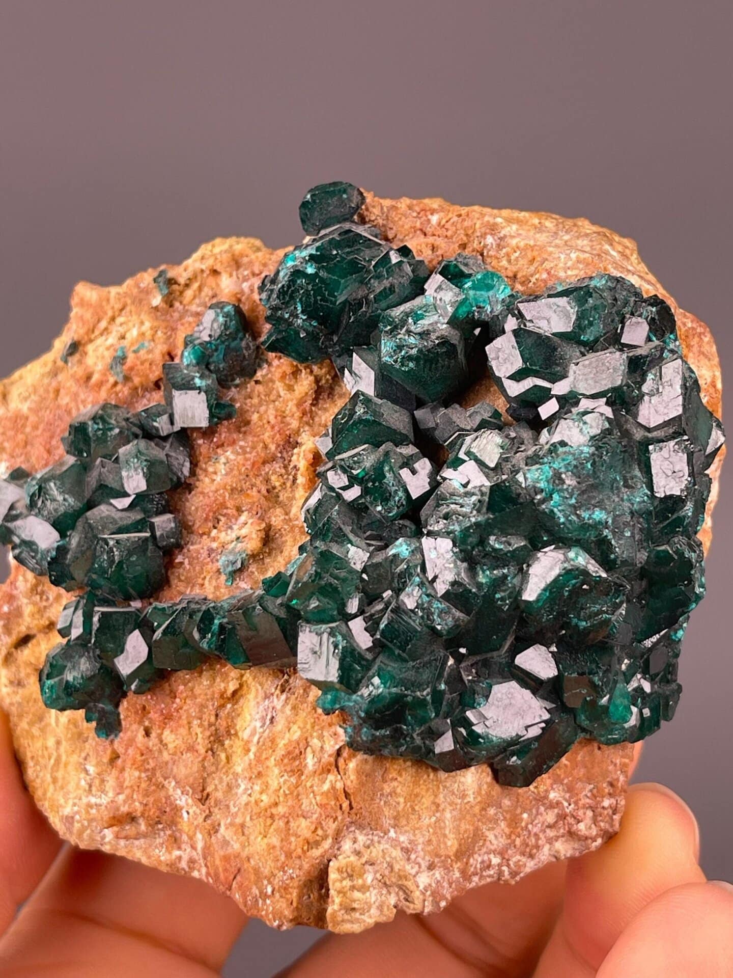 Top view of dioptase crystal cluster from Republic of Congo