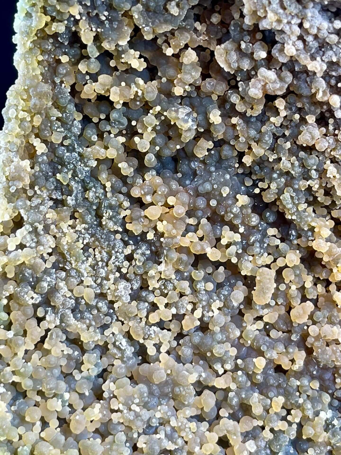 Grape agate pterosaur displaying natural waxy luster