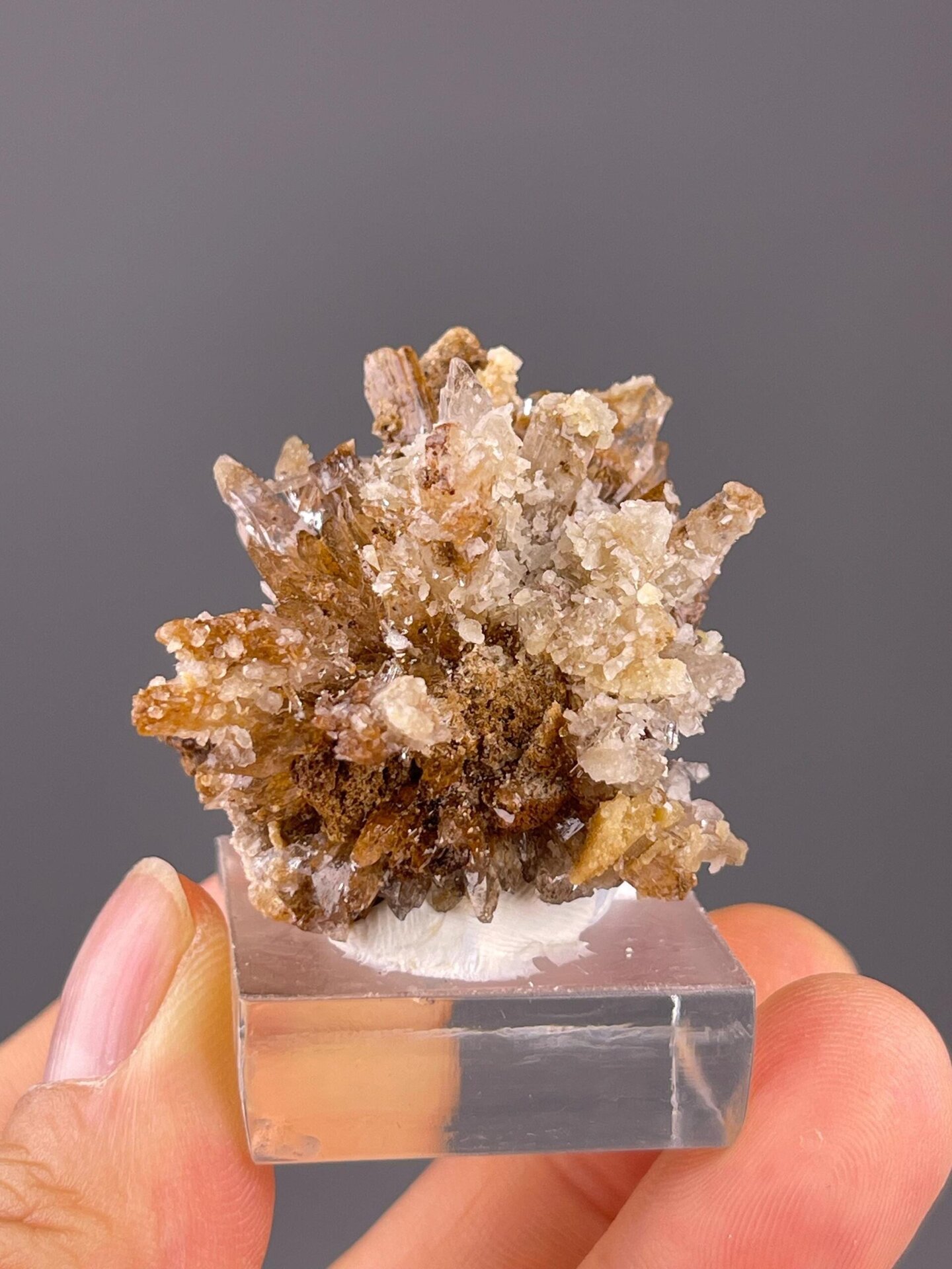 Gypsum flower mineral specimen from Guizhou, China