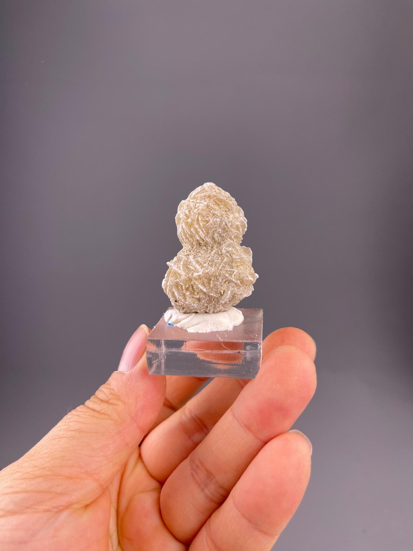 CaSO₄·2H₂O monoclinic gypsum in twin rosette sphere formation