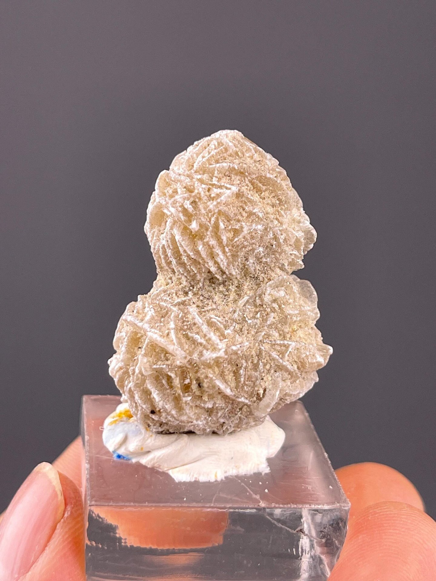 Paired gypsum rosette spheres with petal-like crystal plates