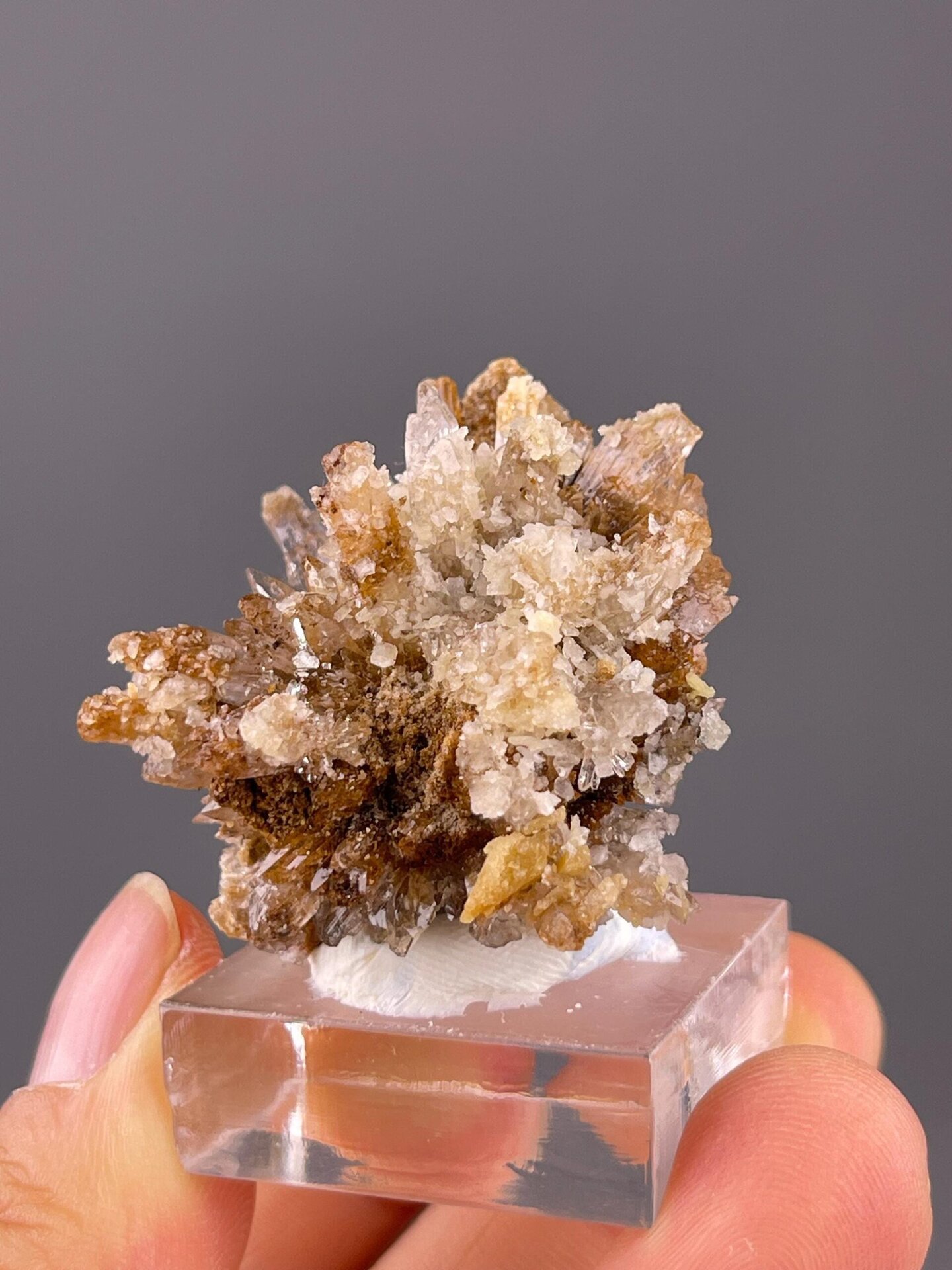 Delicate selenite gypsum flower with radiating crystal petals