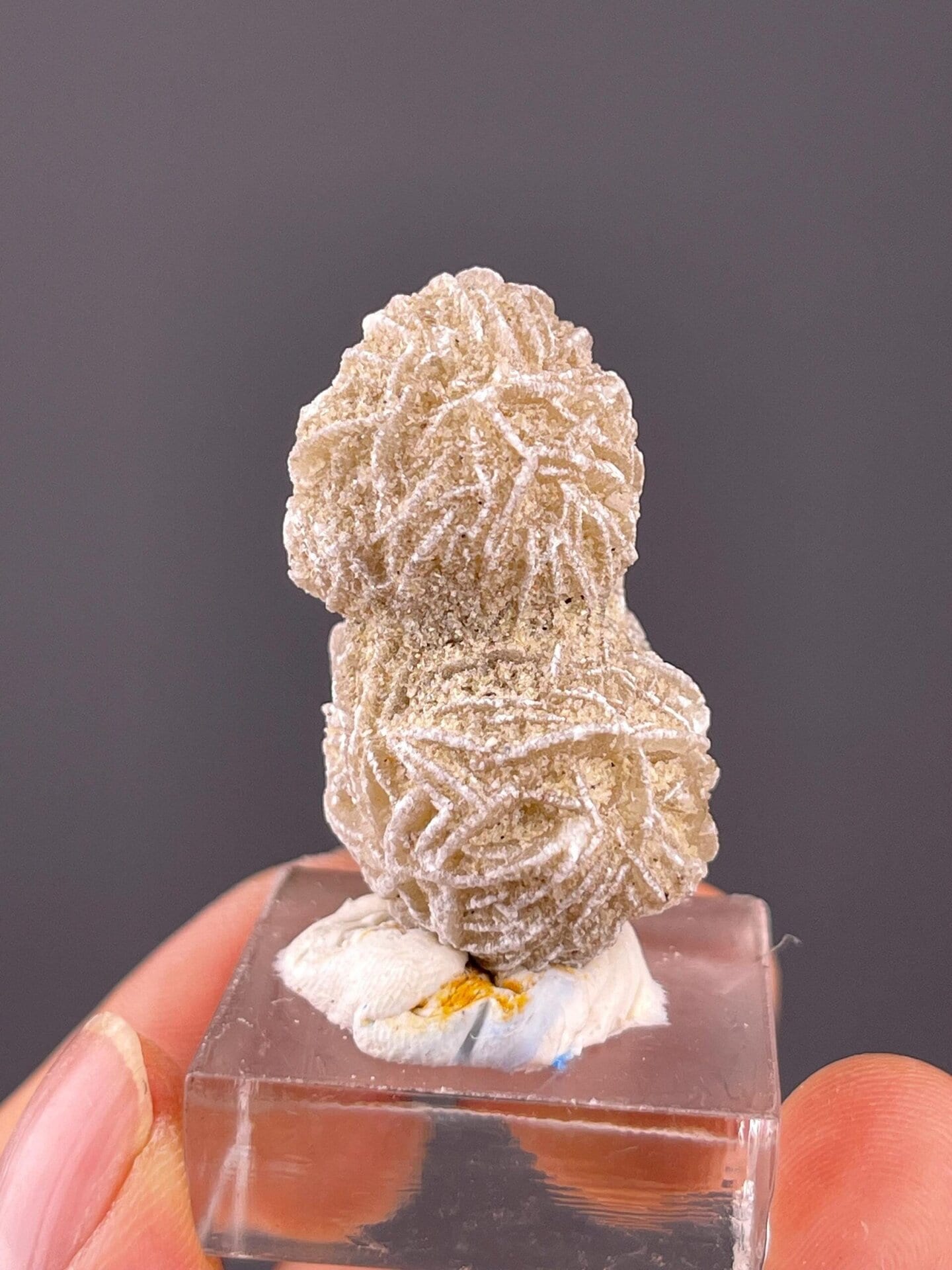 Double desert rose gypsum measuring 1.5×1.0×0.8 inches