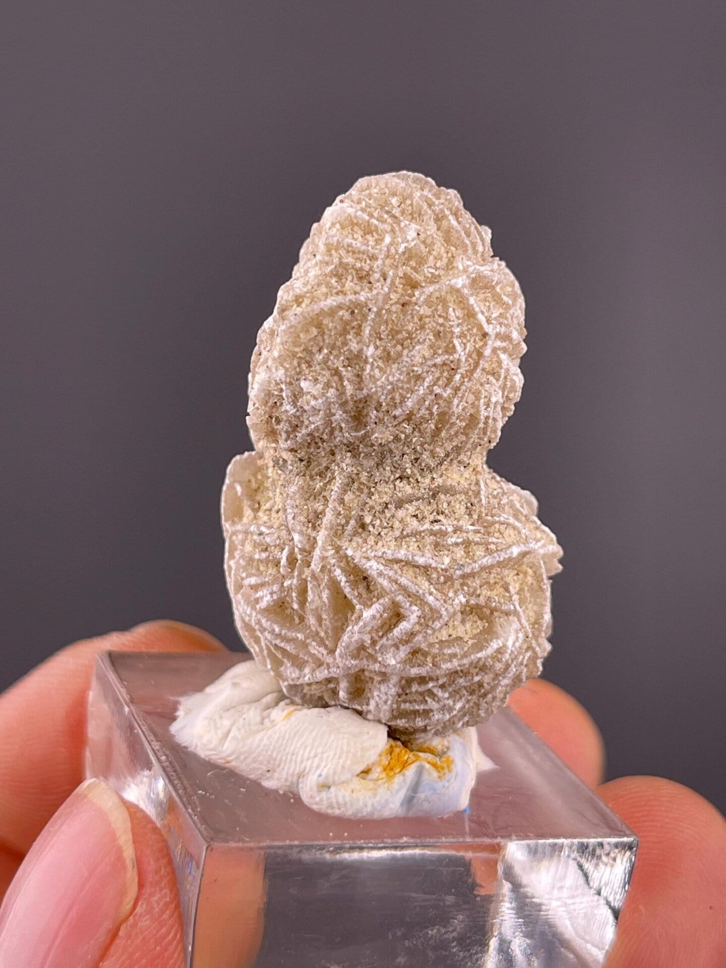 Twin gypsum rosette specimen, 0.705 oz, vitreous luster