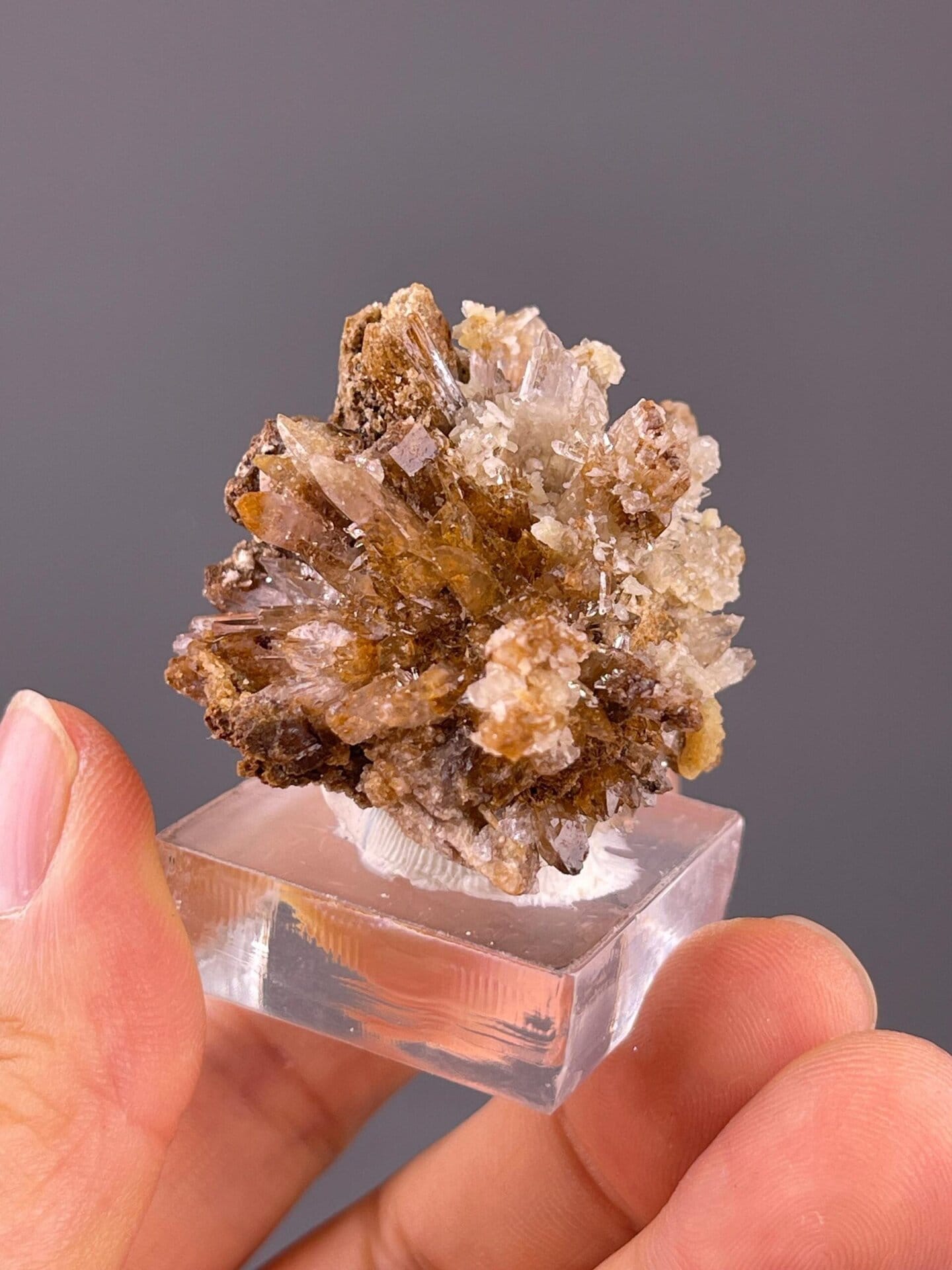 Guizhou gypsum with petal-form radiating selenite crystals