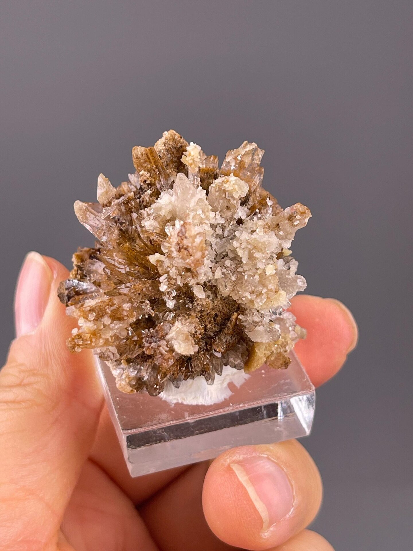 Delicate gypsum crystal growth in floral petal arrangement