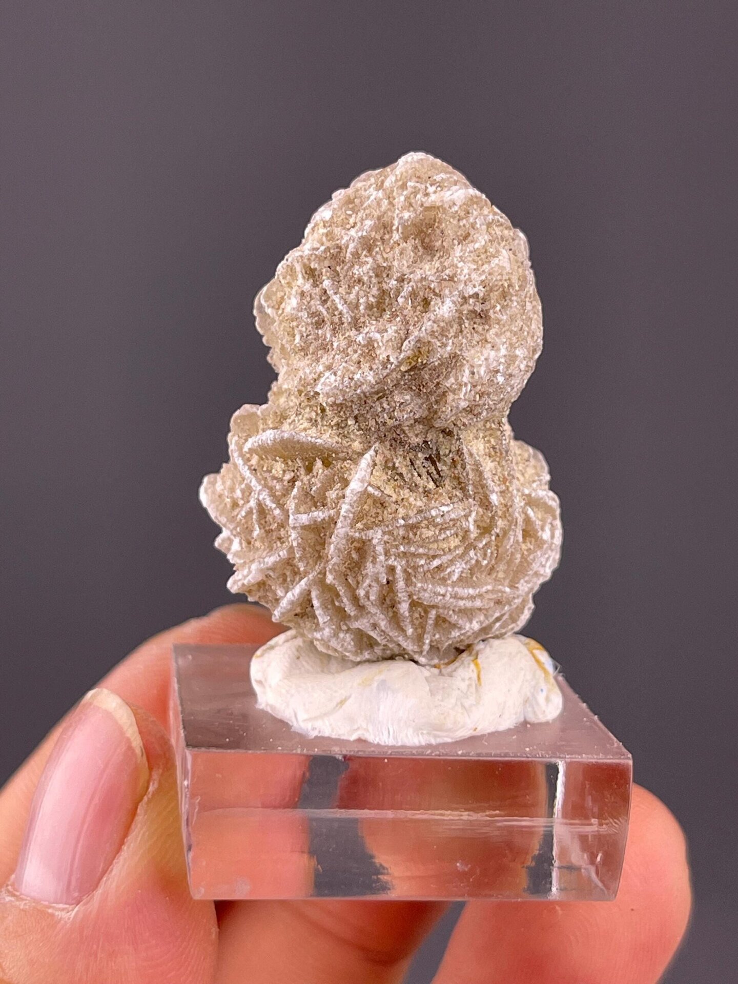 Double gypsum rosette with monoclinic lenticular habit