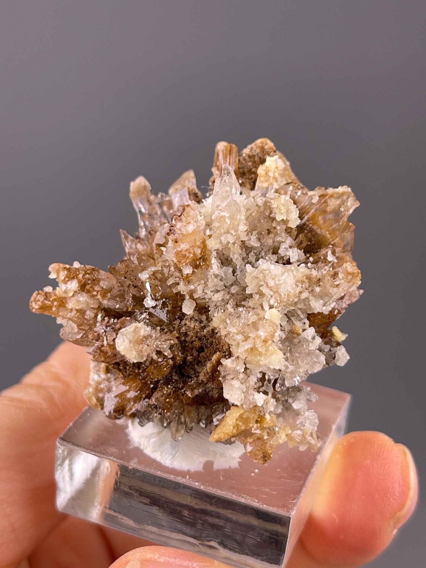 Collector gypsum flower specimen from Guizhou Province, China