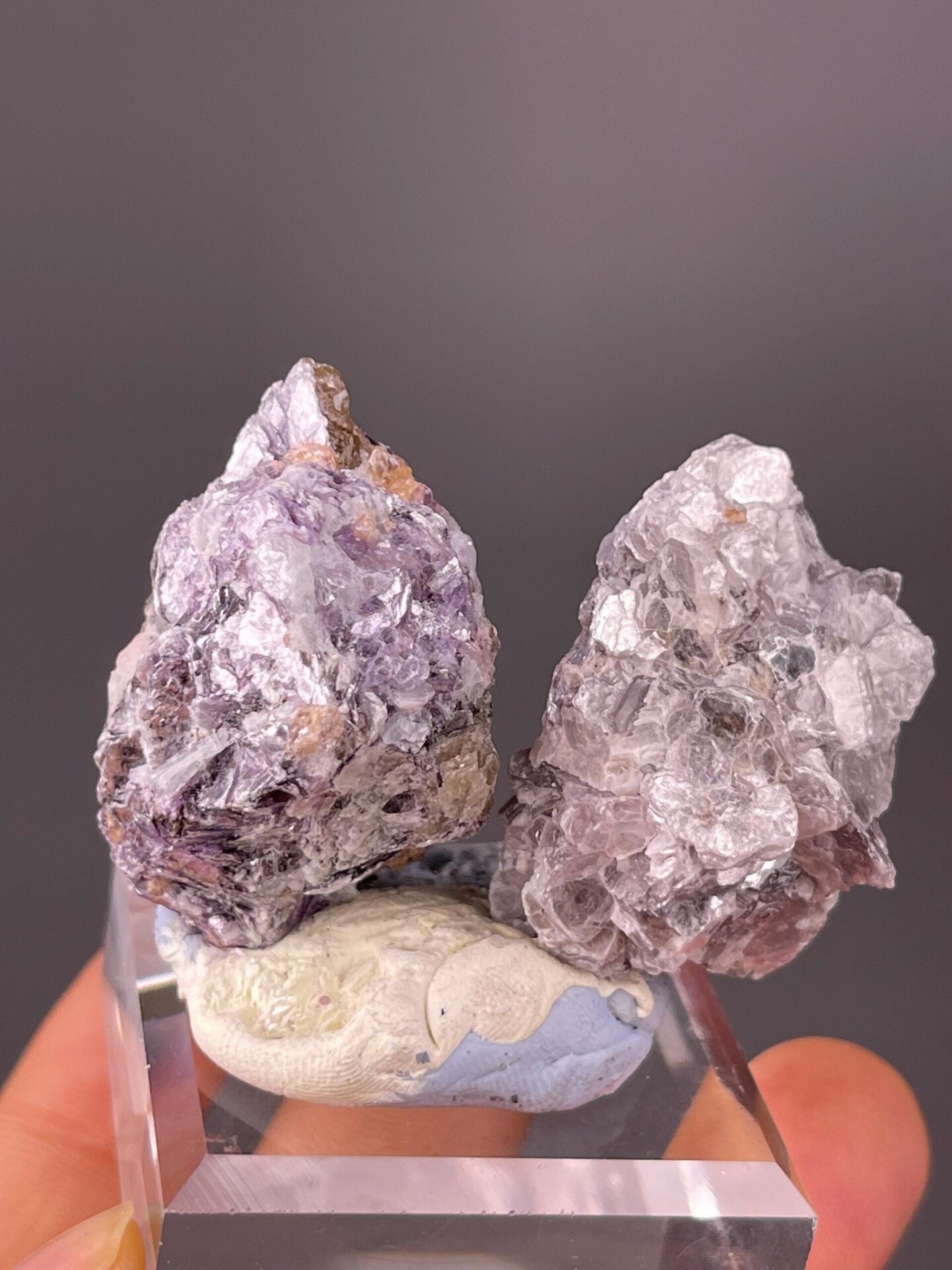 Collector mica pair with complementary tones from Sichuan Province