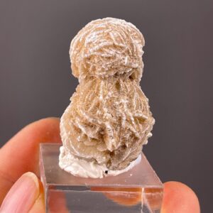 Desert Rose Gypsum - Petal-Like Crystals - Mexican Origins - Ideal for Collectors