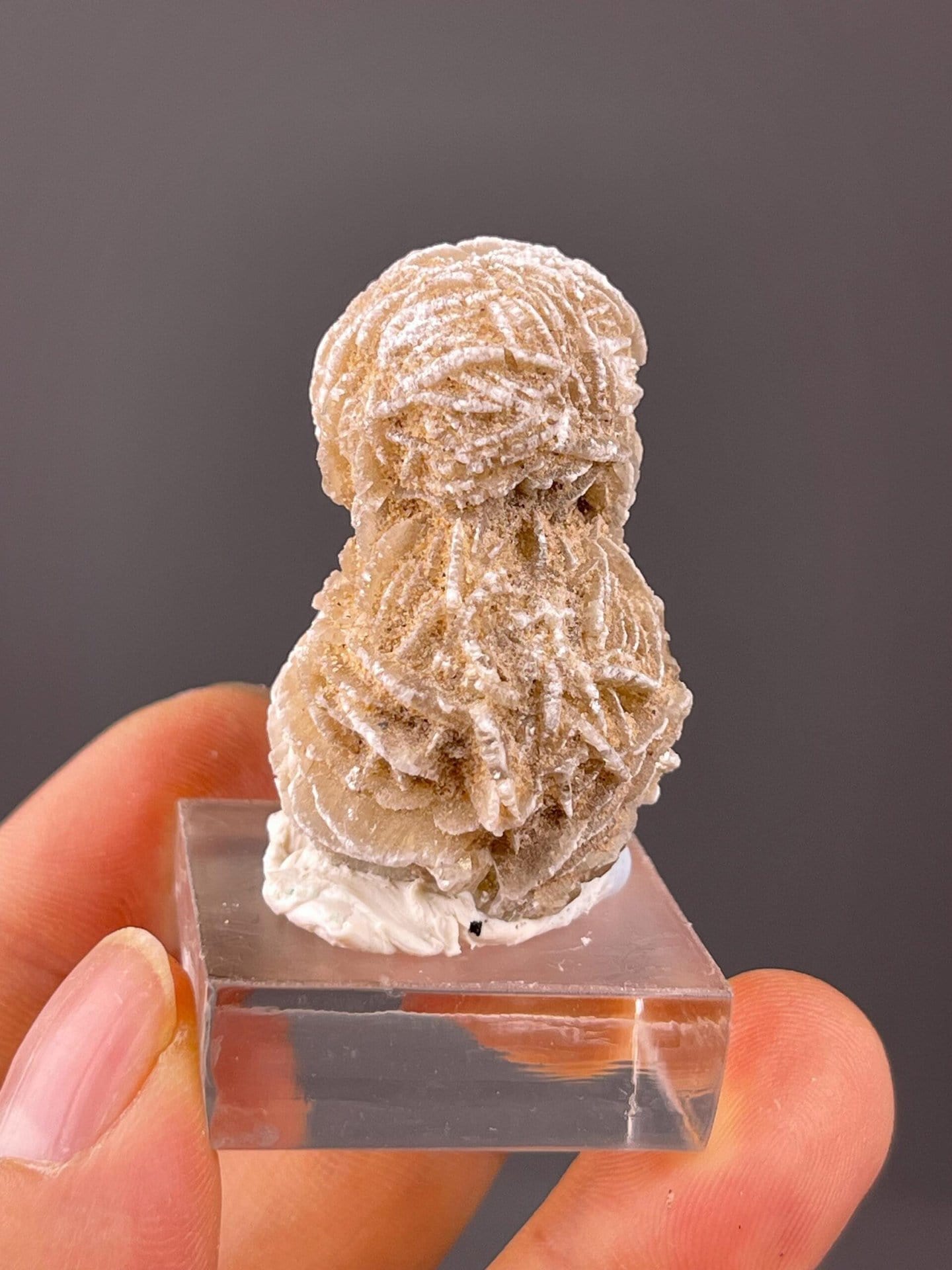 Desert rose gypsum specimen from Mexico with petal-like crystal plates