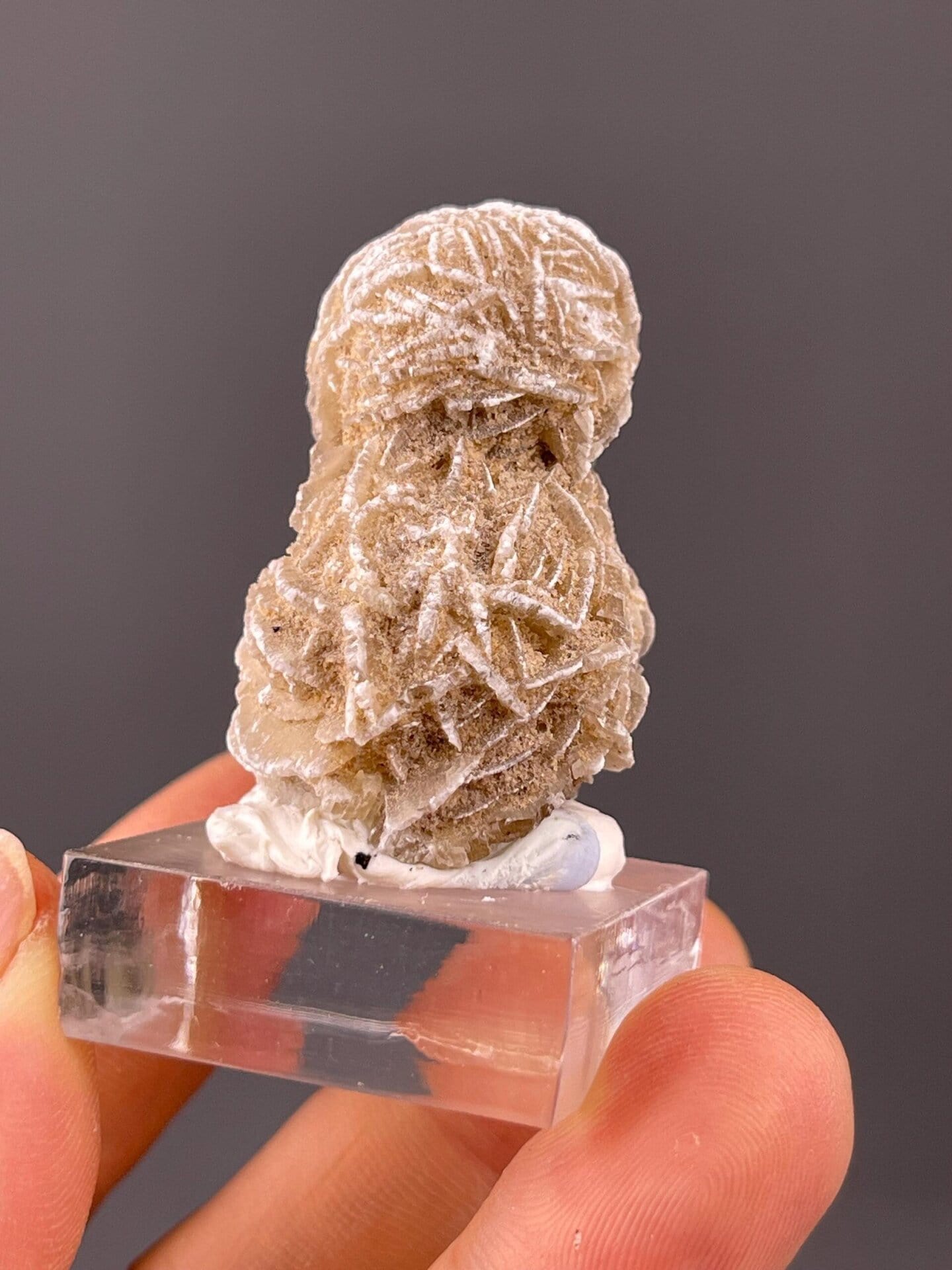Desert rose formation with overlapping gypsum crystal petals
