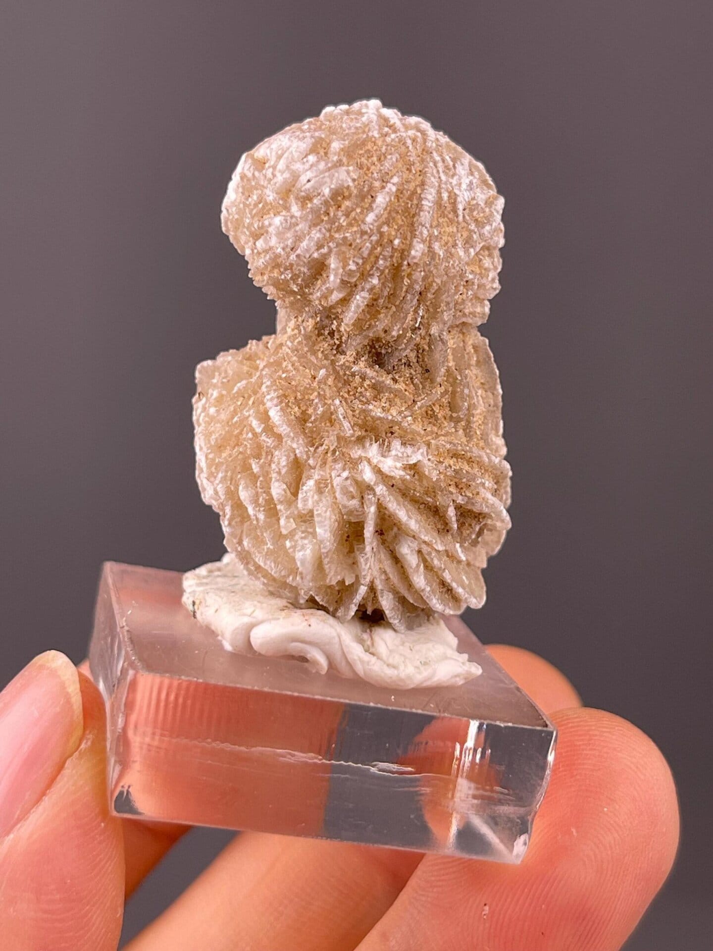 Mexican desert rose gypsum measuring 1.5×0.9×0.9 inches