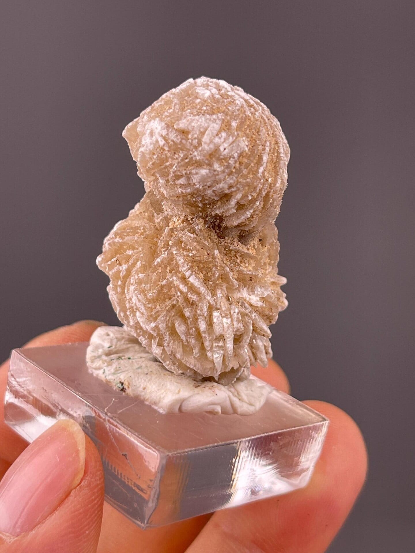 Gypsum rosette specimen, 0.705 oz, vitreous luster