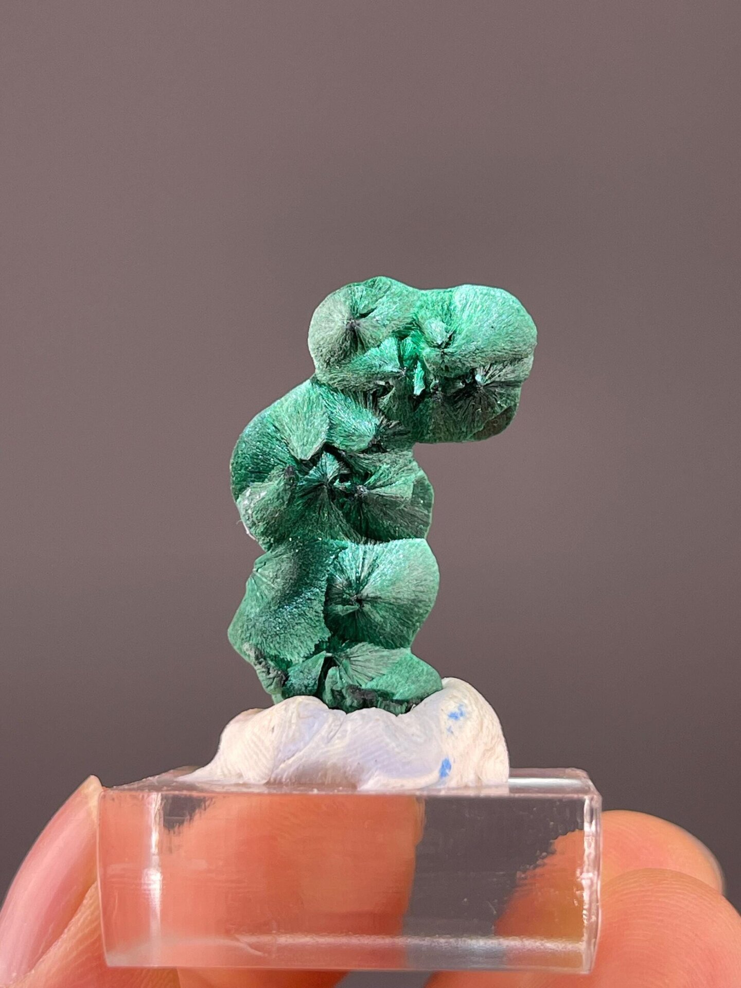 Botryoidal copper carbonate malachite from Guangdong Province