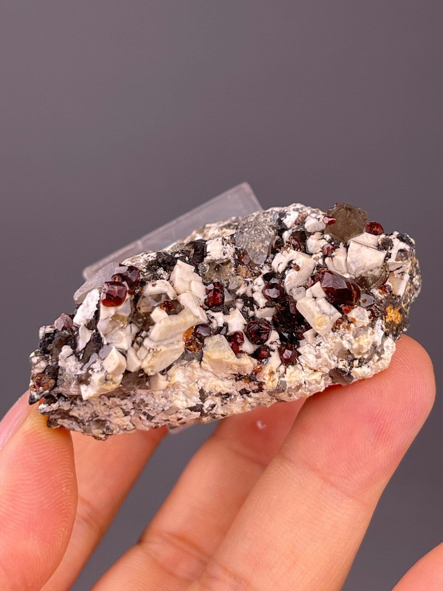 Natural garnet crystals with associated silicate minerals, China