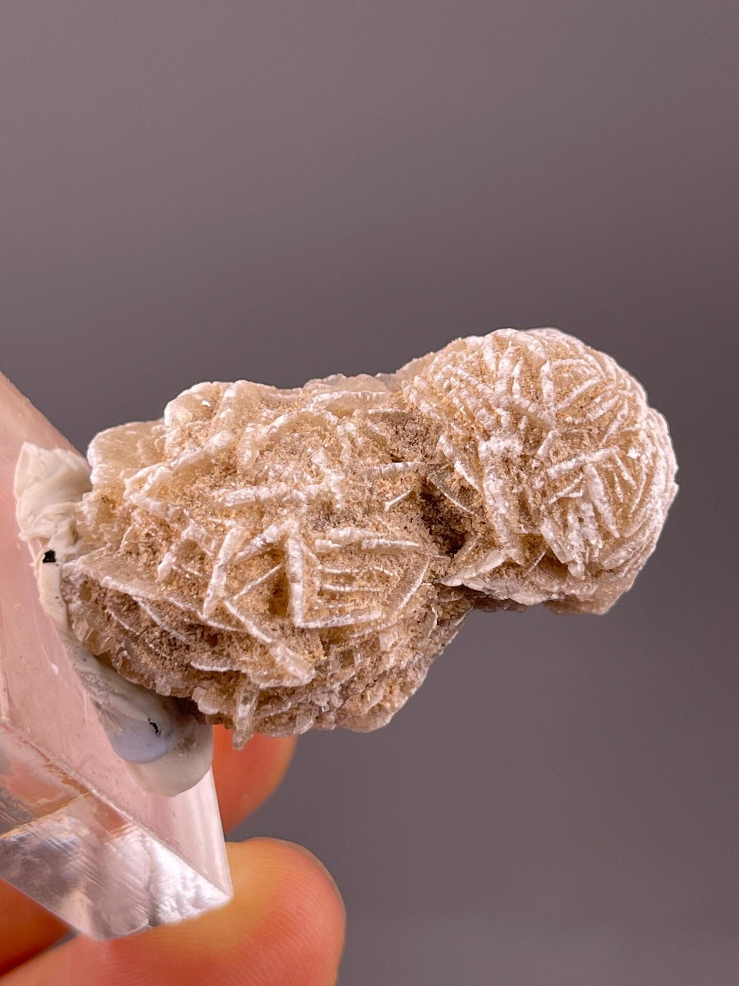 Natural gypsum flower with sandy matrix inclusion, Mexico
