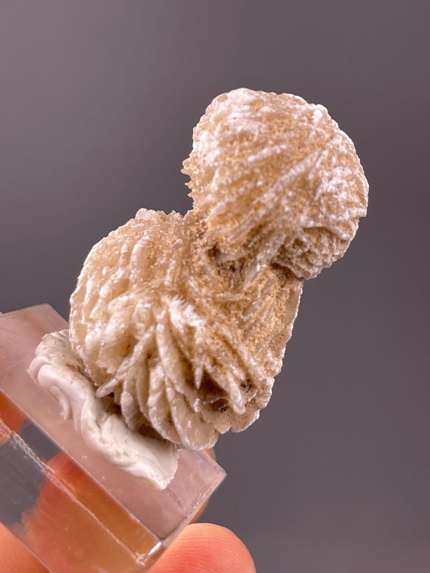 Desert rose gypsum with overlapping tabular crystal habit