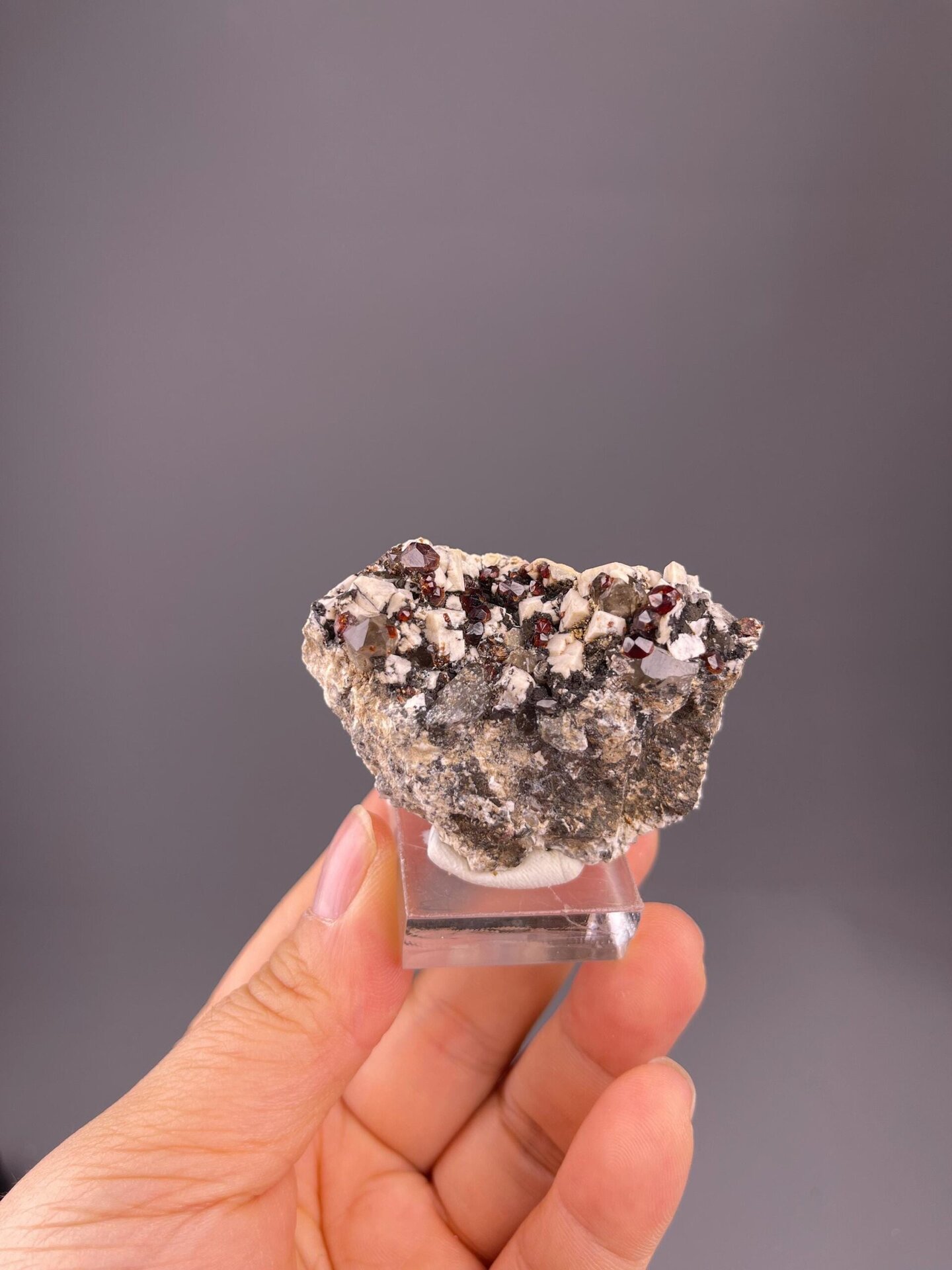Garnet association specimen with three mineral phases, Fujian