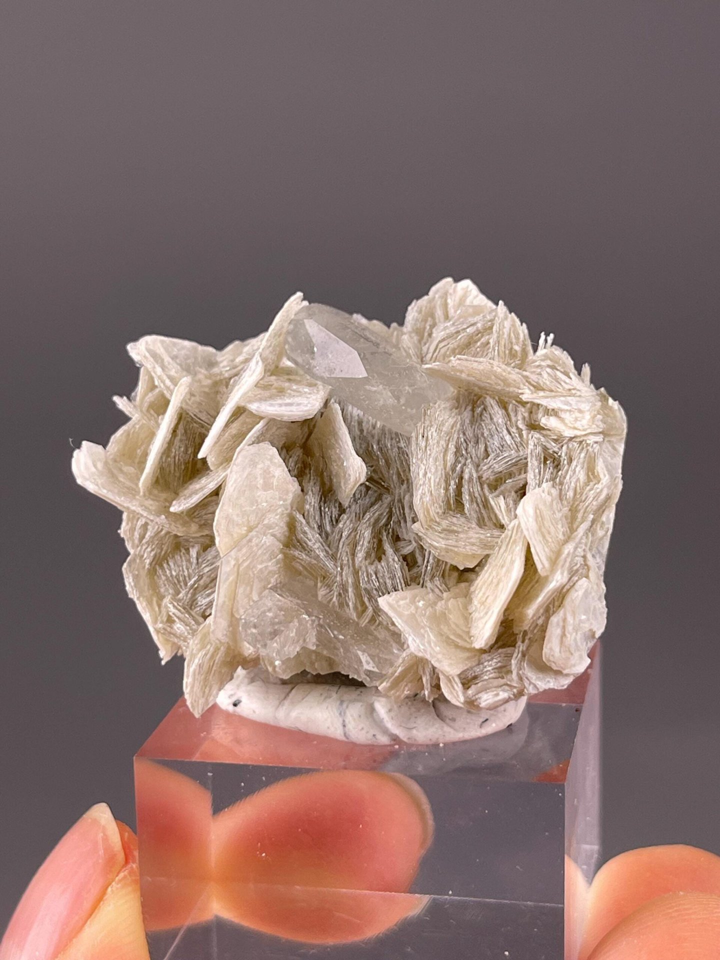 Aquamarine beryl on mica schist from Xuebaoding Mountain Sichuan
