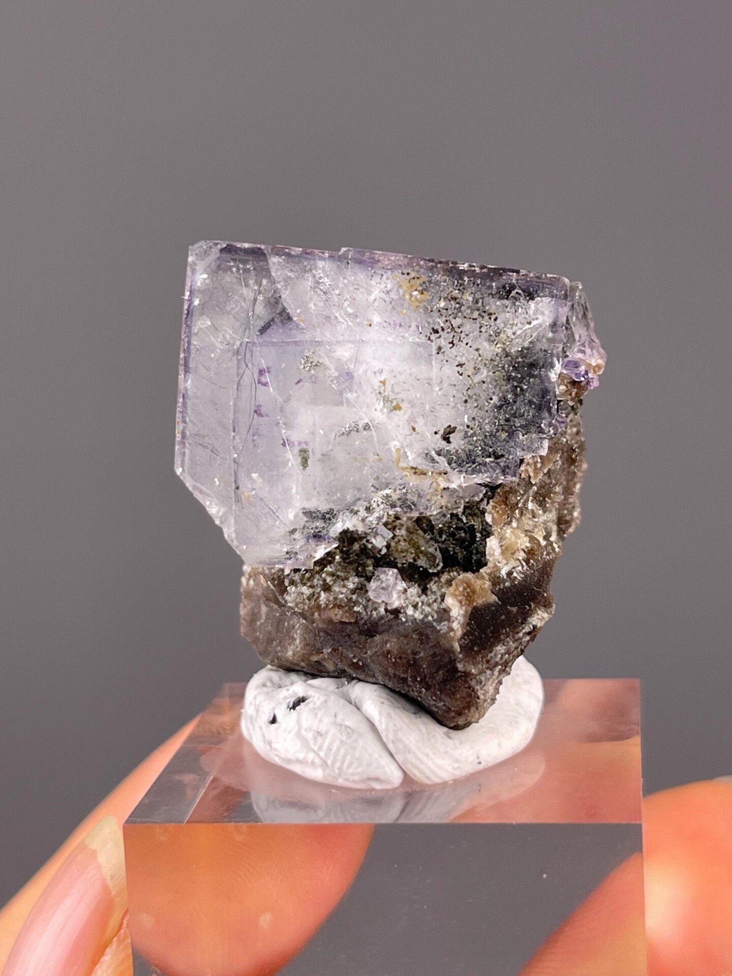 Angled view of phantom fluorite on cassiterite matrix