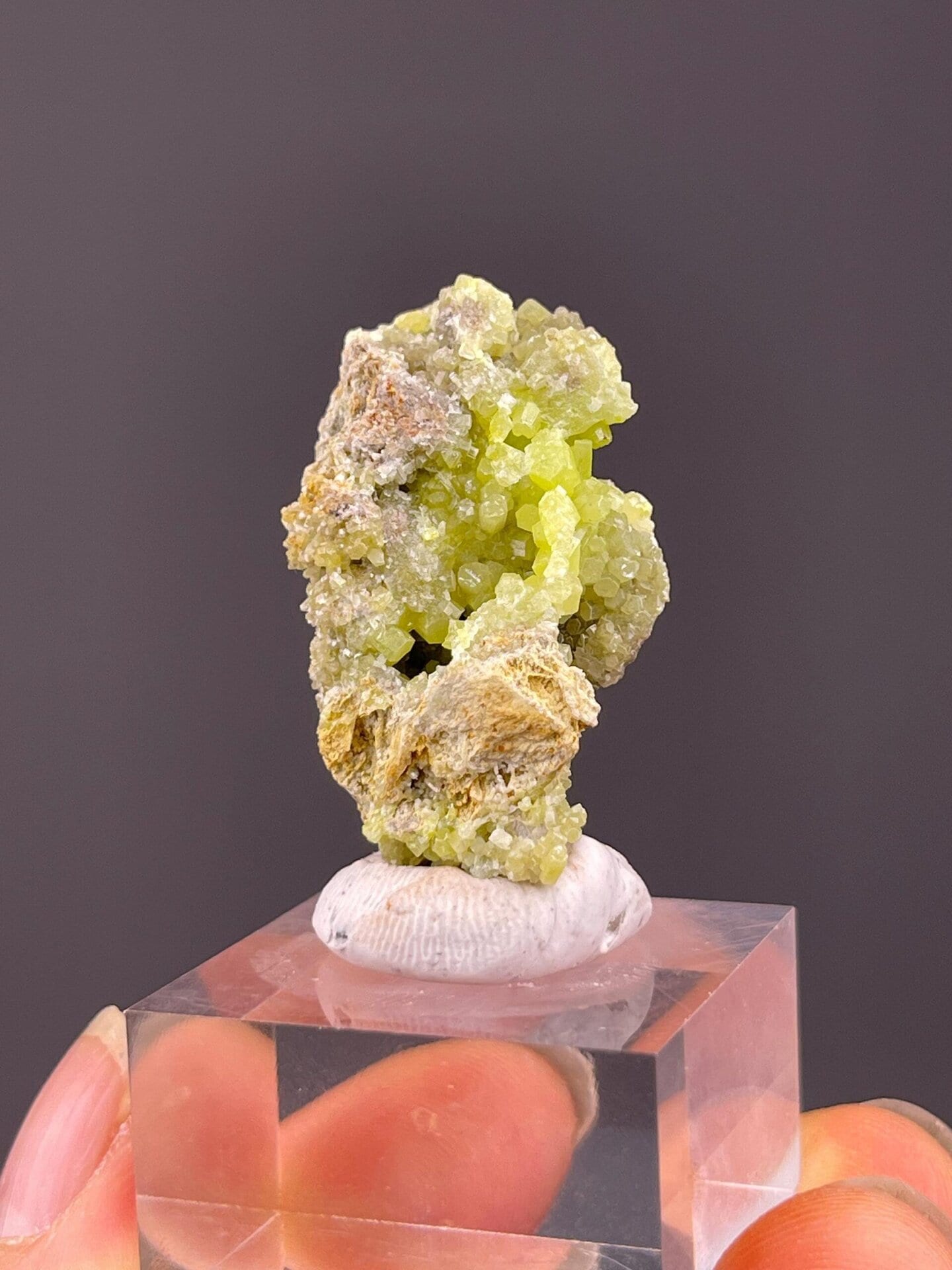 Side view of pyromorphite hexagonal crystal cluster
