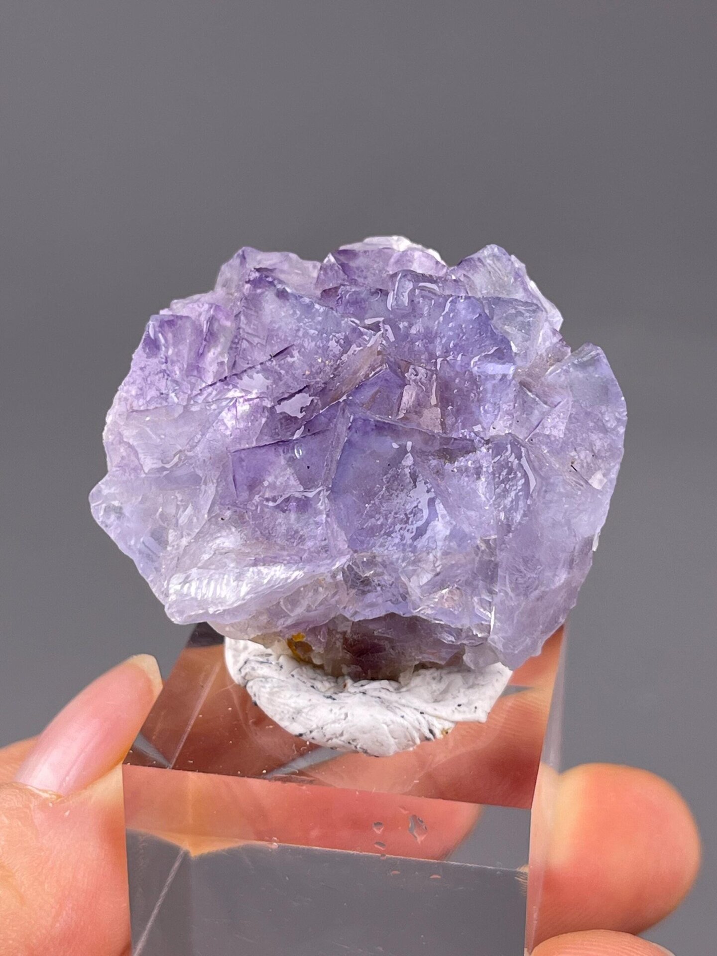 Top view of fluorite twin pair on matrix