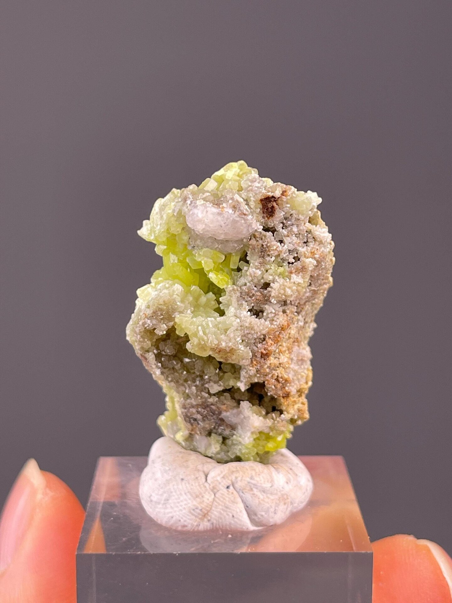 Hexagonal habit of pyromorphite crystals close-up