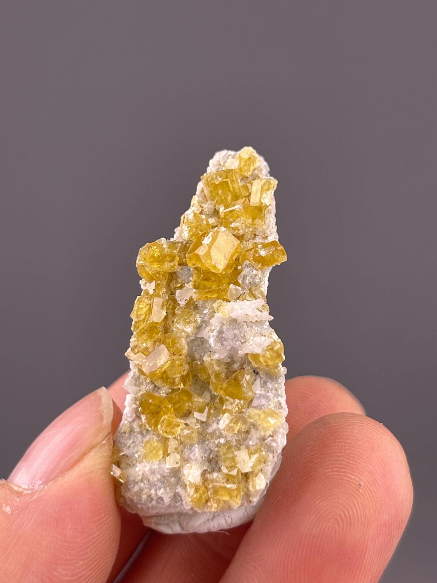 Yellow fluorite cubic cluster ruler scale reference