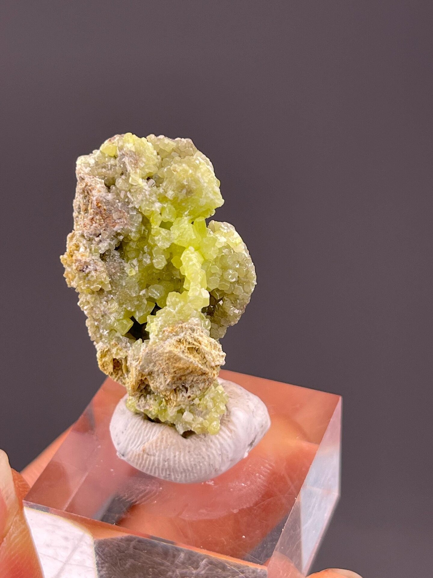 Pyromorphite Guangxi cluster ruler scale reference